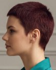 Cheveux ultra-courts